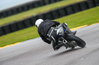 PJ-Motorsport-2019;anglesey-no-limits-trackday;anglesey-photographs;anglesey-trackday-photographs;enduro-digital-images;event-digital-images;eventdigitalimages;no-limits-trackdays;peter-wileman-photography;racing-digital-images;trac-mon;trackday-digital-images;trackday-photos;ty-croes